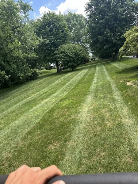 Professional lawn care service